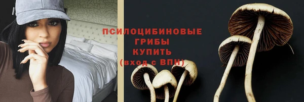 спиды Хадыженск