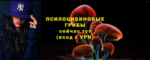 гашик Фурманов