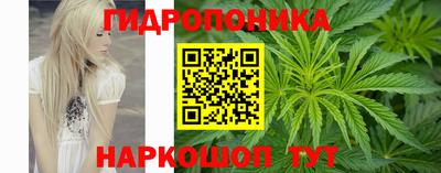 стаф Балахна