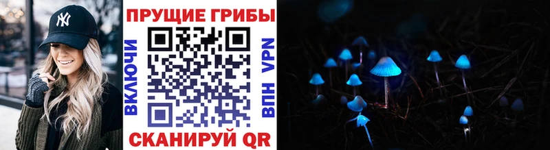 мориарти как зайти  Волжск  Псилоцибиновые грибы Psilocybe  KRAKEN как зайти 