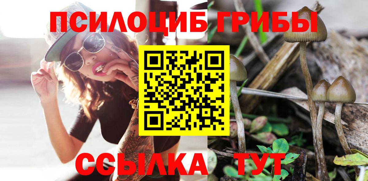 Галлюциногенные грибы мухоморы  Галлюциногенные грибы Psilocybe  Волжск 